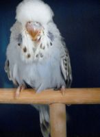 ws-babys2012.003.jpg